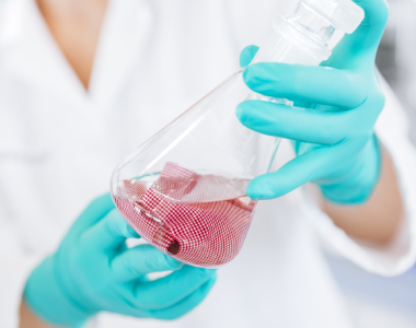 EN713费用是多少？如何影响玩具标准的实施与市场竞争力？