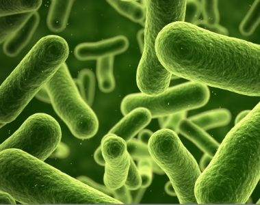春季微生物滋生，关注抗微生物纺织品，有效预防病菌传播